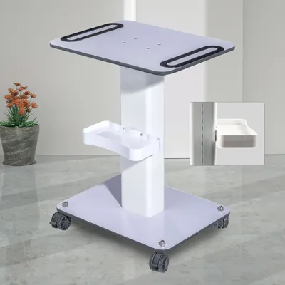 Beauty SPA Equipment Salon Big Table Trolley Cart Storage Stand Rolling Salon Machine Organizer