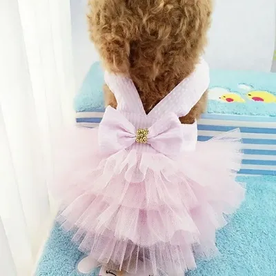 Pet+Costumes