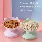 Bol d'alimentation et de boisson pour animaux de compagnie, bol pour chien, bol pour chat, bol à