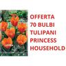 Peragashop - offerta 70 bulbi di tulipano kaufmanniana princess household bulbs bulbes