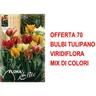 Bulbi Autunnali Offerta 70 Bulbi Tulipano Viridiflora Mix Di Colori Bulbs Bulbs