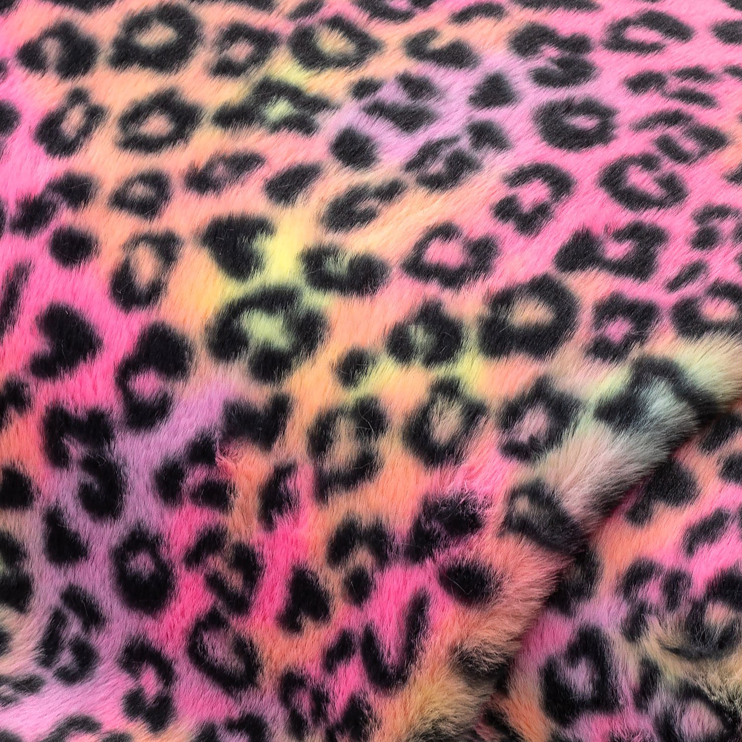 Fellimitat Leopard, bunt Image