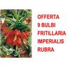 Peragashop - offerta 9 bulbi autunnali fritillaria imperialis rubra maxima bulbs bulbes