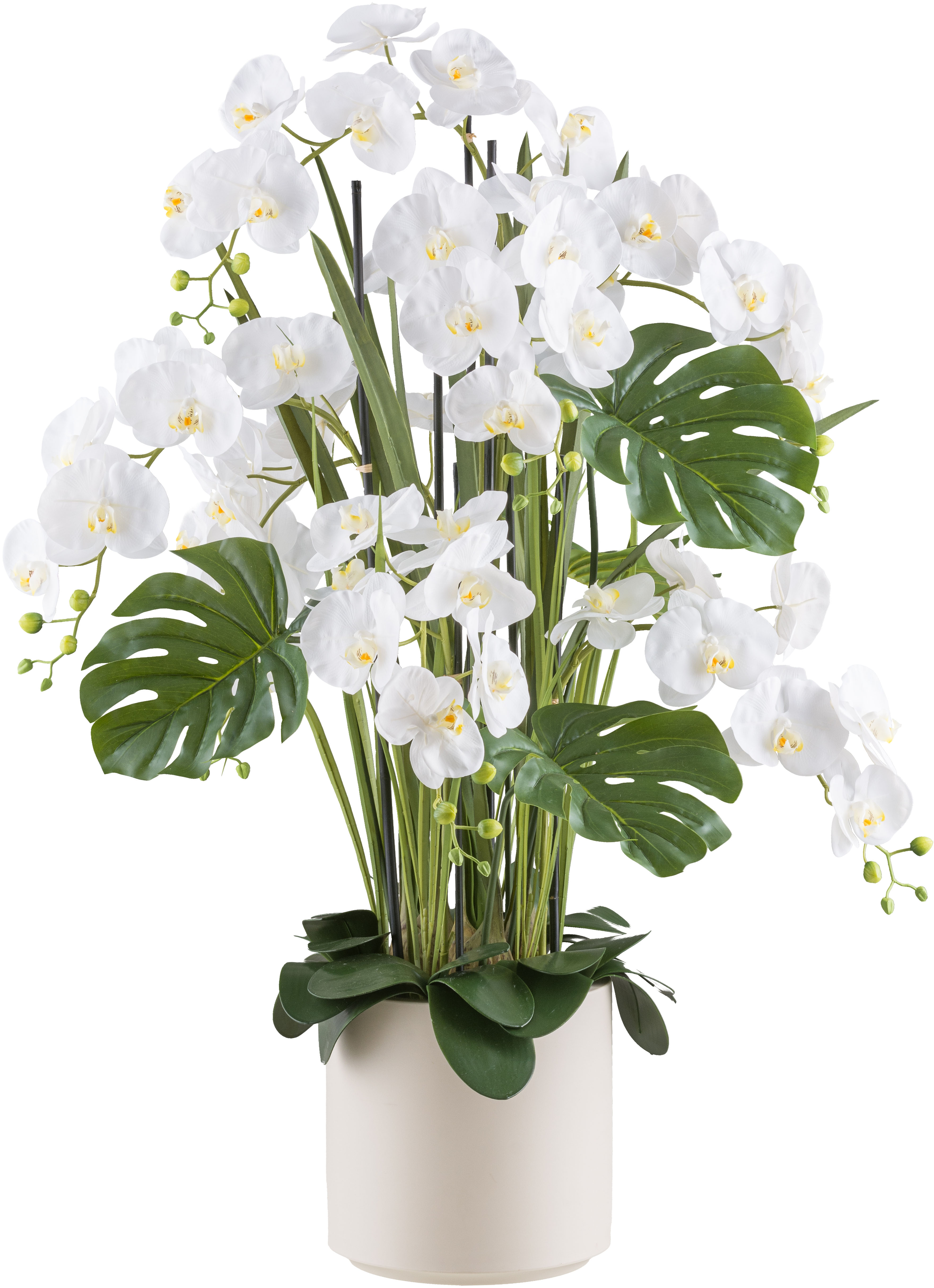 Kunstorchidee CREATIV GREEN "Orchidee Phalaenopsis", beige (creme), H:120cm, Kunststoff, Kunstpflanzen, mit Gräsern und Splitphilo-Blättern