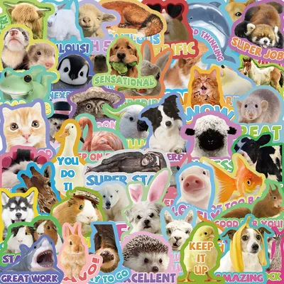 Card image cap