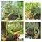 Resin Chameleon Statue Wall Mount Lizard DIY Outdoor Garden Tree Decoration Sculpture Home Office