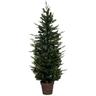 Vaso per albero di helsinki 150 cm - Feeric lights & christmas