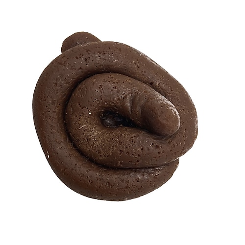 Künstlicher Kot realistischer Spaßfake Lebensnahe Kotspielzeuge Streiche und praktische Scherzspielzeuge für den Aprilscherz-Tag Streichparty-Zubehör Weihnachtsgeschenk Image