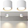 Gbly - Plafonnier led Spot de plafond led en saillie : spot en saillie plafonnier rond plafonnier