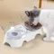 Haustier Doppel Schüssel Katze Schüssel Hund Schüssel mit Ständer Transparent Doppel Schüssel Haustier Fütterung Katze Wasser Schüssel Katzenfutter Haustier Schüssel Hund Feeder