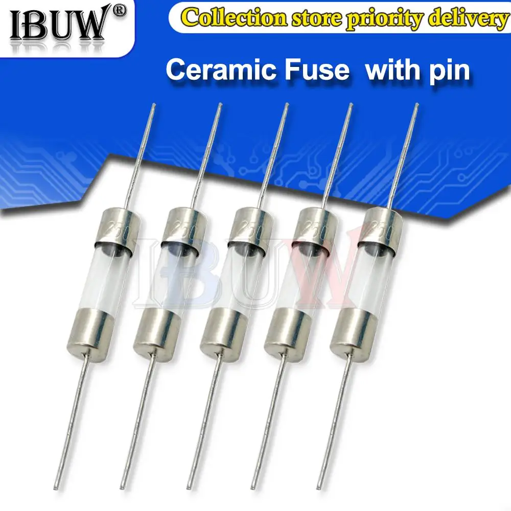 10 Stück 5*20mm schnell brechende Keramik sicherung Langsam blas rohrs icherung mit Stift 5x20mm 250V 0,5 a 1a 2a 3a 4a 5a 6a 7a 8a 10a 12a 15a 20a 25a Image