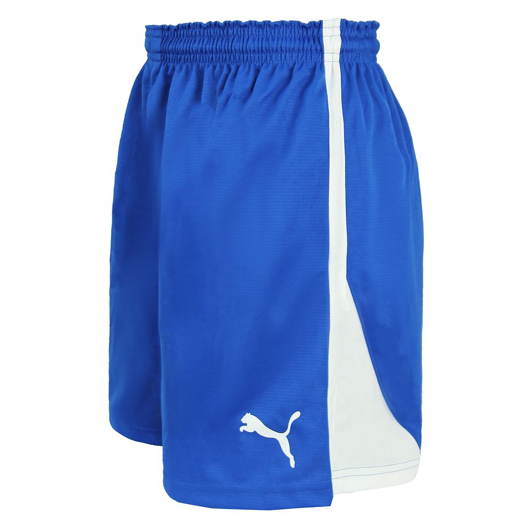 Puma V5.06 Handballshorts für Damen, Blau/Weiß Image