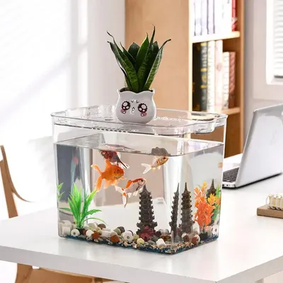 Beginner Fish Tank Stackable Transparent Cube Tank Small Fish Bowl For Temporary Space Turtle Tanks