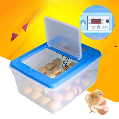 Egg Incubator Chicken Hatcher Box Type Poultry 65 Egg Incubator Egg Brooder with Digital Display