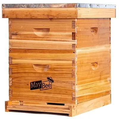 Beginner Beekeeping Kit with Premium Cedarwood Hive Body and Removable Wax Coated Boards