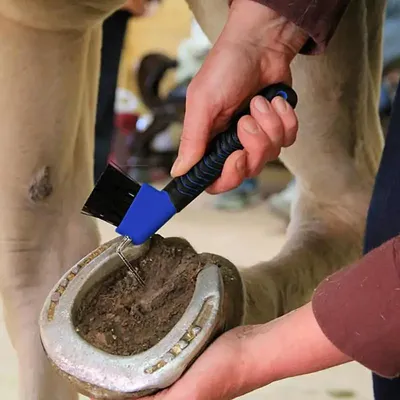 Hoof Pick With Brush Hoof Pick And Brush Sturdy Easy To Hold Hoof Pick With Brush With Soft Touch