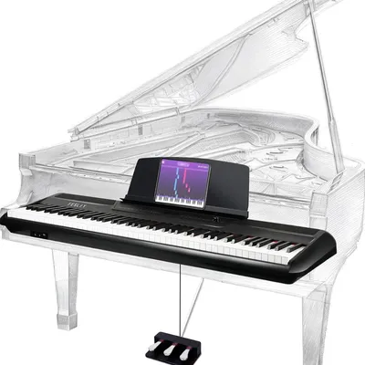 Fesley Home Digital Piano 88 key Full Weighted Keyboard 3 Pedal: 128 K French Dream Audio Source