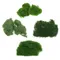 Artificial Everlasting Moss Plant Eternal Moss Grass Garden Home Decor DIY Flower Material Garden