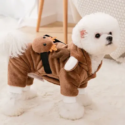 Pet+Costumes