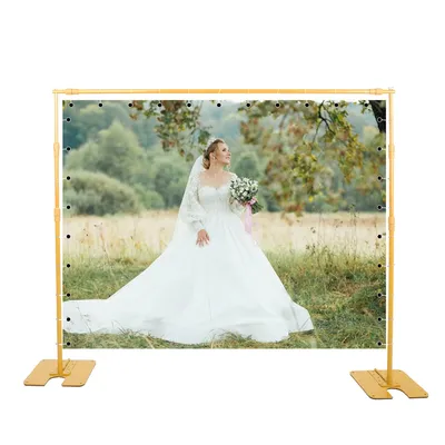 Gold Background Stand Backdrop SH 2.4X3M Heavy Duty Photo Background Support Studio Light Tripod