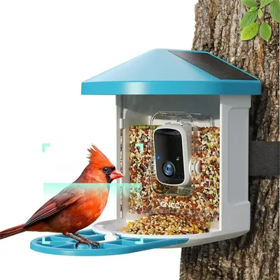 GNCC Smart Bird Feeder with Camera Wireless Outdoor, 1080P Wild Bird Feeders, Squirrel Proof, Solar