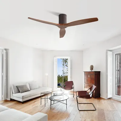 Ceiling+Fans