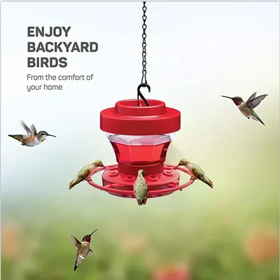 Hummingbird Feeders Bird Food Dispenser for Garden Outdoor Hang Bird Feeder Wild Bird Feeder Clear