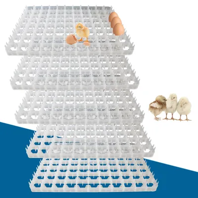 LOYALHEARTDY 5pcs 440 Quail Egg Turning Tray Egg Incubator Egg Turner Tray Duck Hatcher Container