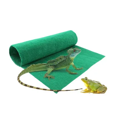 Reptile+Supplies