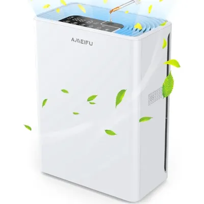 Air+Purifiers