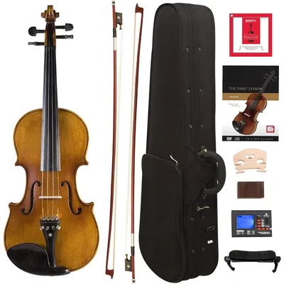 CVN-500 Solidwood Ebony Fitted Violin with D'Addario Prelude Strings, Size 4/4 (Full Size)