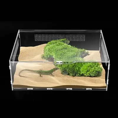 Reptile Terrarium Enclosure Kit Micro Habitats Acrylic Tank with Locking Latch Ventilation Design