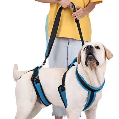 Dog Lift Harness Dog Protective Gear Auxiliary Pet Leash Elderly Dog Support Sling Lifter Disabled