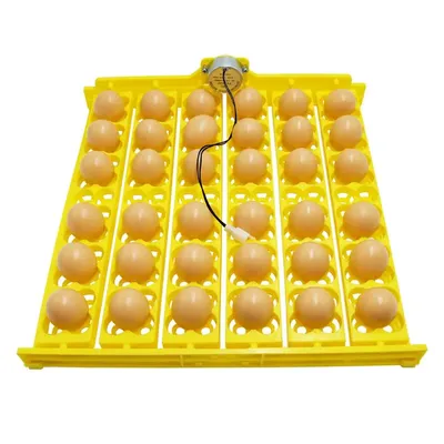 Egg Incubator Automatic Hatching Chicken Egg Turner Small 36 Egg Hatcher Egg Tray 156 Bird Egg Tray