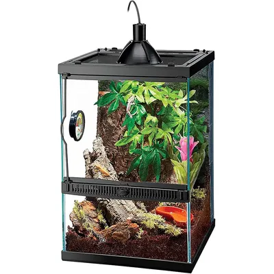 Tropical Vertical Habitat Starter Kit for Small Tree Dwelling Reptiles & Amphibians Like Geckos and