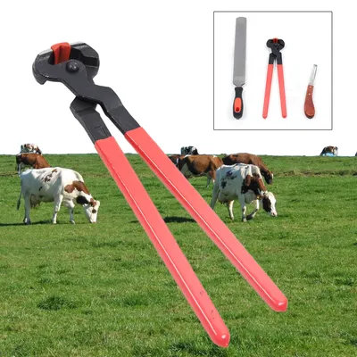 3 in 1 Horseshoe Hoof Trimming Repair Tool Set File Rasp Cutter Knife Horse Hoof Nipper Horse Hoof