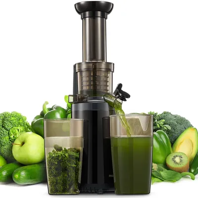 Masticating Juicer Machines, Reemix Cold Press juicer Machine Compact Size, Juice Extractor,