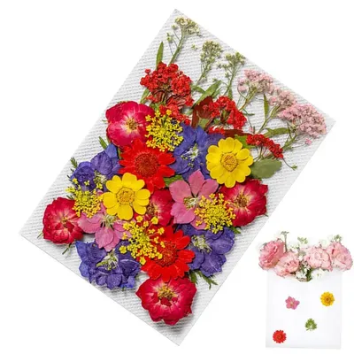 35Pcs/Bag Vintage Dried Flowers Shop Dried Flowers Plants Handbook Real And Natural Flower