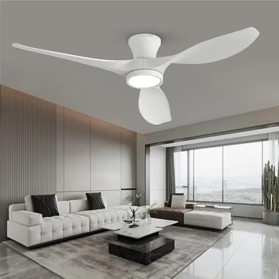 Ceiling+Fans