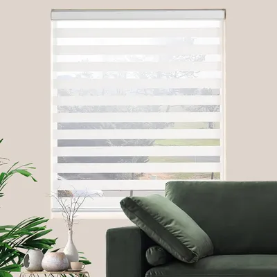 Window+Blinds