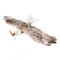 Dancing Wings Hobby E15 Biomimetic Mini Eagle 1200mm Wingspan EPP Foam RC Airplane Electric Flying