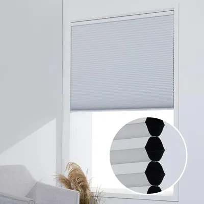 Window+Blinds