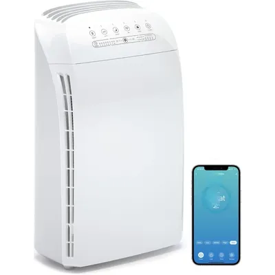 Air+Purifiers