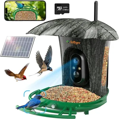 Smart Bird Feeder Camera with 64G Card, 1080P HD Identify Bird Species, Bird House with 7W Solar