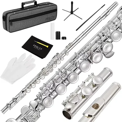 New Fesley Closed Hole C Flute, Musical Instruments Flute Beginner and Band, 16 Keys Flutes with