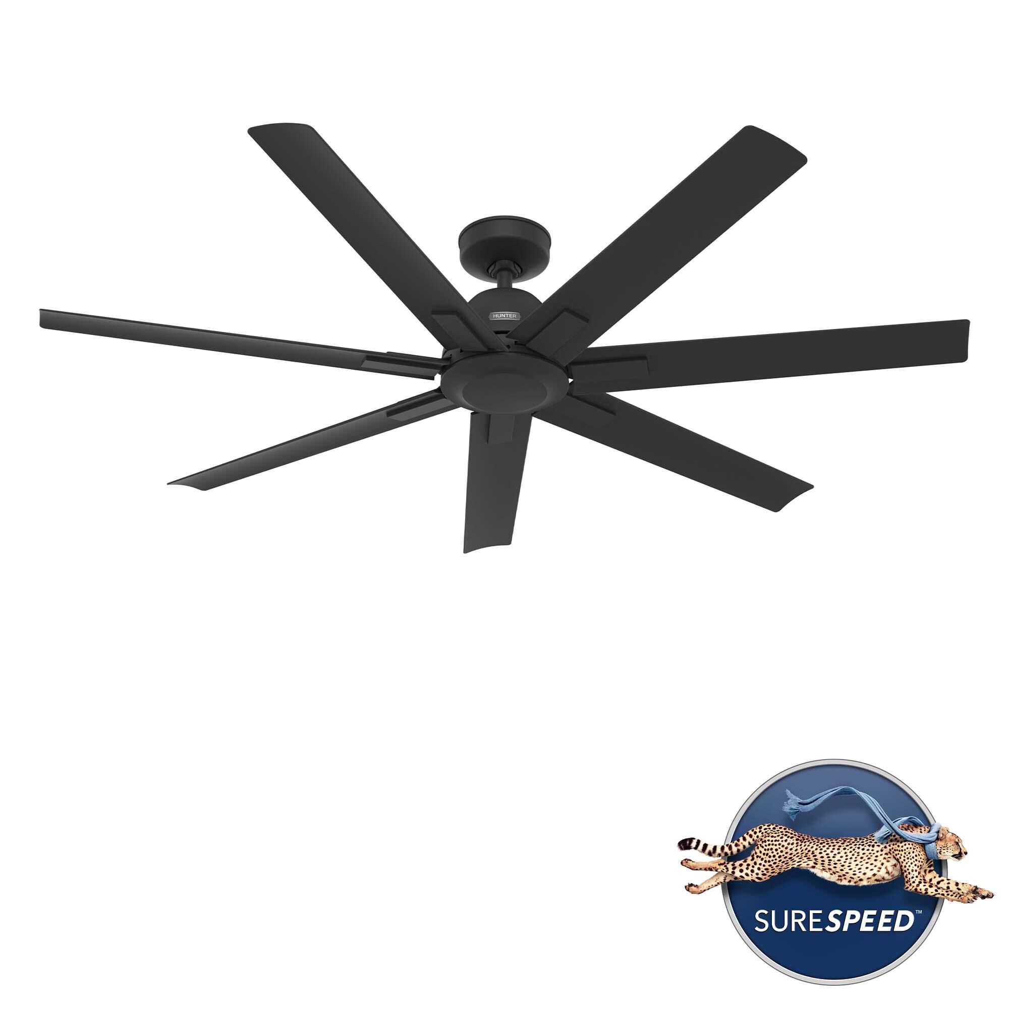 Hunter Fan Downtown 60 Inch Ceiling Fan - 53436