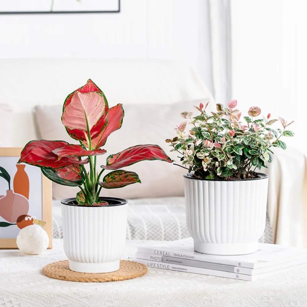 1pc Doppels chicht Kunststoff Blumentopf selbst bewässernde Kunststoff Blumenvase faul Topf Tischplatte Hausgarten Büro Dekor Image