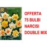 Peragashop - offerta 75 bulbi bulbi narciso double mix bulbs bulbes