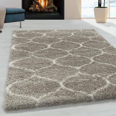 Hochflor-Teppich AYYILDIZ TEPPICHE "SALSA 3201", beige, B:160cm H:50mm L:230cm, Polypropylen (PP), Teppiche, auch in rund, Pflegeleicht / Strapazierfähig / Shaggy/ Wohnzimmer Image
