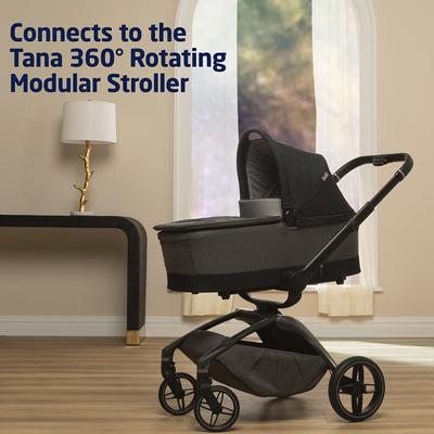 Stroller+Accessories